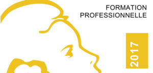 Jaune budgétaire 2017 de la formation professionnelle