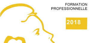 Jaune budgétaire formation professionnelle 2018