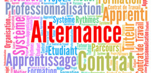 Réforme de la formation professionnelle : l'alternance