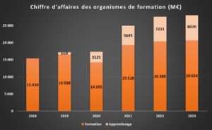 Jaune budgétaire - graphique RHEXIS 5 - évolution du chiffre d'affaire des organismes de formation