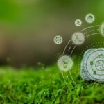 Etendue verte et symboles - la CSRD et la formation